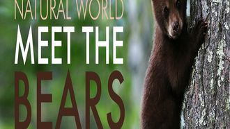 Episode 5 Meet the Bears