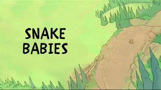 Episode 36 Snake Babies