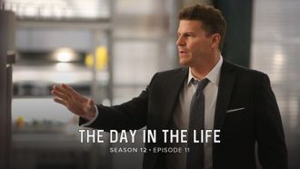 Episode 11 The Day in the Life