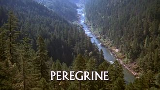 Episode 8 Peregrine