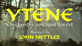 Episode 6 Ytene: England's Ancient Forest