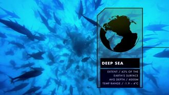 Episode 11 The Deep Sea
