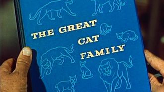 Episode 2 The Great Cat Family