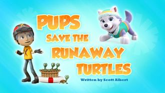 Episode 37 Pups Save the Runaway Turtles