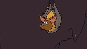 Episode 12 You Should Be Dancing!/Batty for Bats