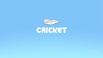 Episode 47 Cricket