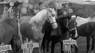 Episode 8 Horse Party