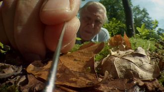 Episode 5 Attenborough's Life Stories: Life on Camera