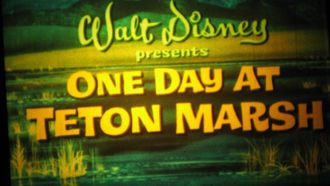 Episode 8 One Day at Teton Marsh
