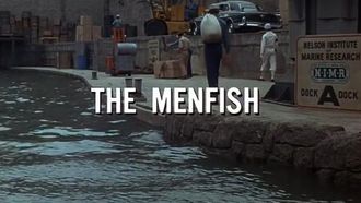 Episode 24 The Menfish