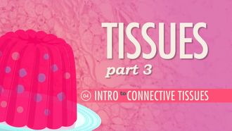 Episode 4 Tissues Part 3: Intro to Connective Tissues