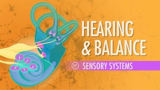 Episode 17 Sensory Systems: Hearing & Balance