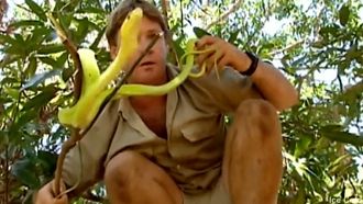 Episode 4 Africa's Deadliest Snakes