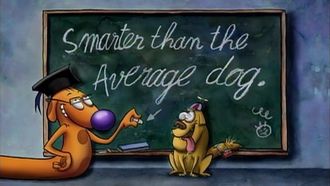 Episode 38 Smarter than the Average Dog