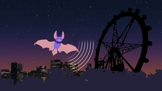 Episode 9 Bats
