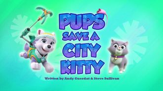 Episode 28 Pups Save a City Kitty