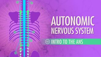 Episode 13 Autonomic Nervous System: Intro to the ANS