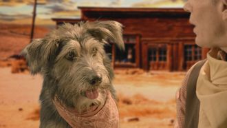 Episode 8 Movie Star Dogs & Hounds and Horses