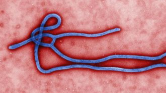 Episode 14 Ebola Outbreak