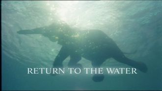 Episode 7 Return to the Water