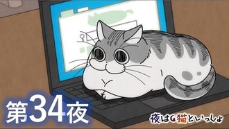 Episode 34 Night 34: Cat on the Keyboard