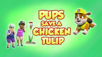 Episode 31 Pups Save a Chicken Tulip