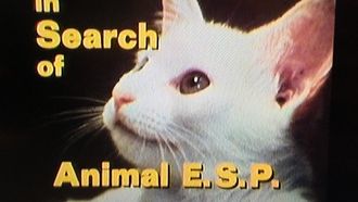 Episode 15 Animal E.S.P.