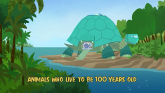 Episode 6 Animals Who Live to Be 100 Years Old