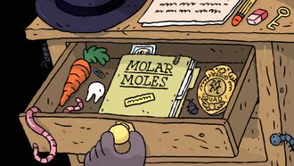 Episode 3 Molar Moles