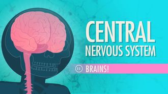 Episode 11 Central Nervous System: Brains!