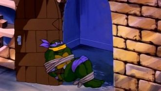 Episode 10 Donatello's Duplicate