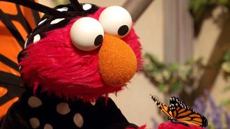 Episode 20 Elmo's Butterfly Friend