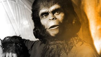 Episode 5 Apes in Hollywood