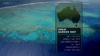 Episode 8 Great Barrier Reef