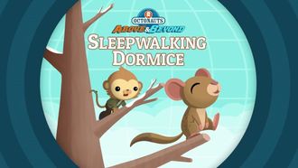 Episode 18 The Octonauts and the Sleepwalking Dormice
