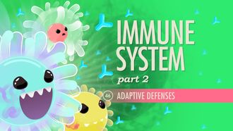 Episode 46 Immune System Part 2: Adaptive Defenses