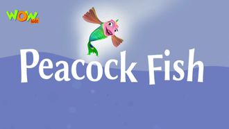 Episode 38 Peacock Fish