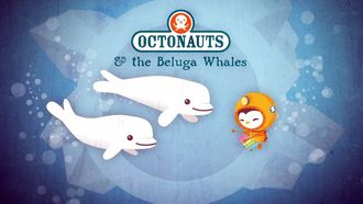 Episode 26 The Beluga Whales