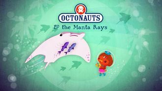 Episode 13 The Manta Rays