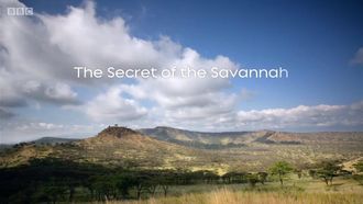 Episode 2 The Secret of the Savannah