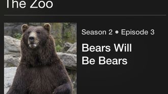 Episode 3 Bears Will Be Bears