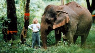 Episode 14 The White Elephants of Thailand with Meg Ryan