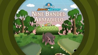 Episode 21 The Octonauts and the Nine Banded Armadillo