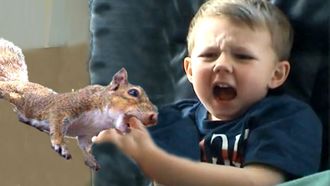 Episode 86 Squirrel Attacks My Son