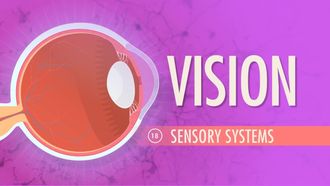 Episode 18 Sensory Systems: Vision