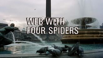 Episode 23 Web with Four Spiders