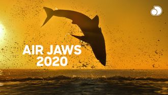 Episode 2 Air Jaws 2020