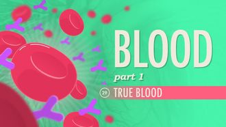 Episode 29 Blood Part 1: True Blood