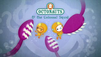 Episode 1 The Colossal Squid
