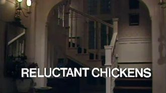 Episode 14 Reluctant Chickens